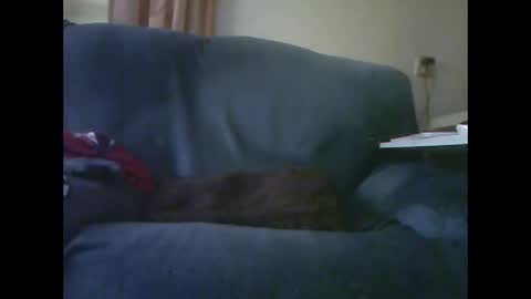 lion160868 online show from November 28, 9:23 am