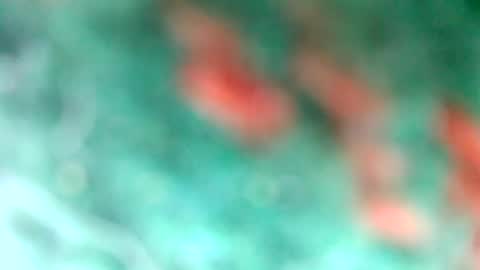 lionelearthquake online show from March 11, 4:18 pm