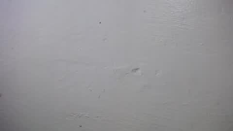 Snapshot of lisa_branch chatting on October 4, 10:24 am lisa_branch online show from October 4, 10:24 am