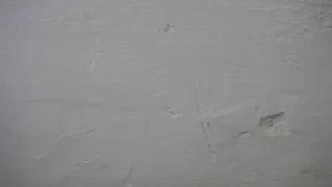 Snapshot of lisa_branch chatting on October 6, 7:11 pm lisa_branch online show from October 6, 7:11 pm