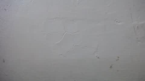 Snapshot of lisa_branch chatting on October 13, 7:25 pm lisa_branch online show from October 13, 7:25 pm