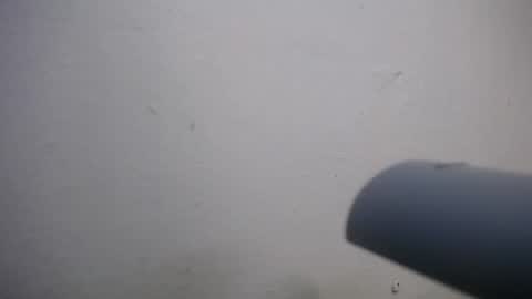 Snapshot of lisa_branch chatting on November 4, 7:02 pm lisa_branch online show from November 4, 7:02 pm