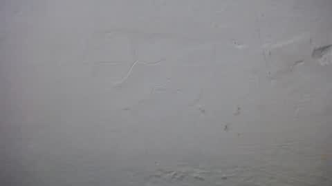 Snapshot of lisa_branch chatting on November 23, 10:37 am lisa_branch online show from November 23, 10:37 am