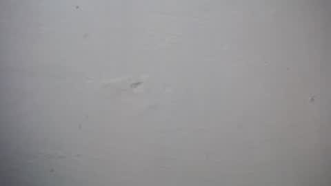 Snapshot of lisa_branch chatting on November 27, 7:27 pm lisa_branch online show from November 27, 7:27 pm