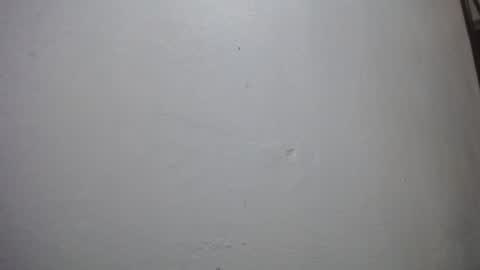 Snapshot of lisa_branch chatting on November 29, 11:02 am lisa_branch online show from November 29, 11:02 am