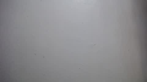 Snapshot of lisa_branch chatting on December 14, 11:59 am lisa_branch online show from December 14, 11:59 am