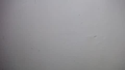 Snapshot of lisa_branch chatting on December 18, 10:54 am lisa_branch online show from December 18, 10:54 am