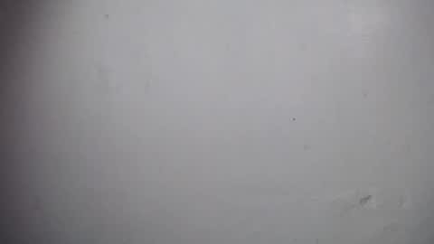 Snapshot of lisa_branch chatting on December 19, 11:06 am lisa_branch online show from December 19, 11:06 am