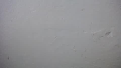 Snapshot of lisa_branch chatting on December 20, 11:17 am lisa_branch online show from December 20, 11:17 am