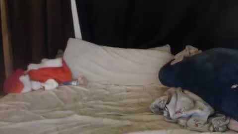 Snapshot of lisa_tyler chatting on December 27, 7:40 am Lisa Tyler online show from December 27, 7:40 am