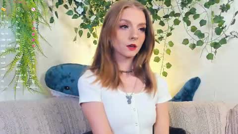 Bella online show from August 1, 7:40 am