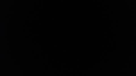 little_bunny_v online show from February 18, 8:05 pm