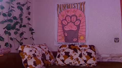 Sofia online show from February 6, 6:46 pm