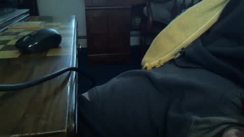 LittleDickJay online show from January 3, 9:05 pm