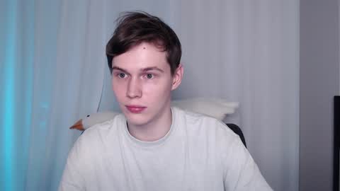 Snapshot of littlesadcabbage chatting on December 10, 1:43 am Sonnenschein online show from December 10, 1:43 am