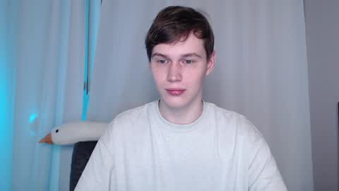 Snapshot of littlesadcabbage chatting on December 11, 12:23 am Sonnenschein online show from December 11, 12:23 am