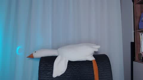 Snapshot of littlesadcabbage chatting on December 11, 3:24 am Sonnenschein online show from December 11, 3:24 am