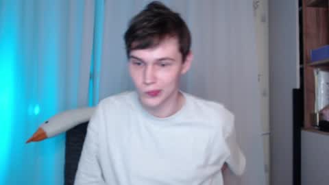 Snapshot of littlesadcabbage chatting on December 19, 1:07 am Sonnenschein online show from December 19, 1:07 am