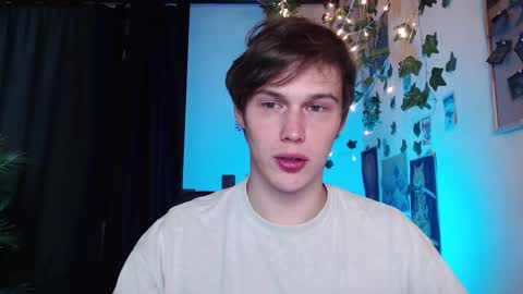 Snapshot of littlesadcabbage chatting on October 20, 11:05 pm Sonnenschein online show from October 20, 11:05 pm