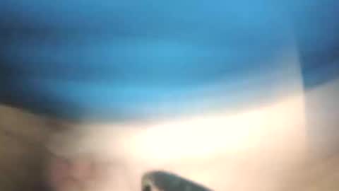 littlestick online show from January 12, 8:41 am