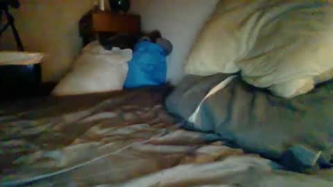 livecock89 online show from February 5, 12:38 pm