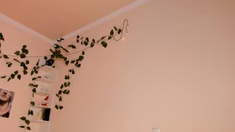 Lixie online show from January 20, 12:04 am