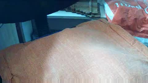 loboxavi online show from September 19, 1:23 pm