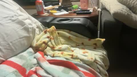 logical12345 online show from December 1, 3:22 am