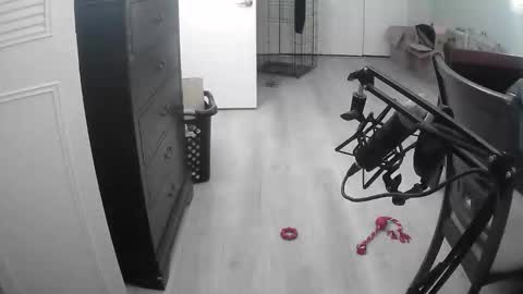 Snapshot of lohangwang69 chatting on February 15, 9:44 pm lohangwang69 online show from February 15, 9:44 pm