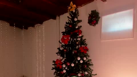 Snapshot of lola_cocks chatting on December 6, 7:56 pm mara online show from December 6, 7:56 pm