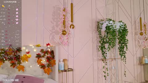 Lolly online show from January 30, 11:22 am