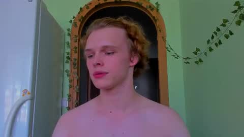 Nelis online show from July 15, 2:44 pm