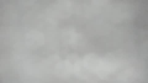 L O L Y -- E B O N Y online show from April 17, 8:23 pm