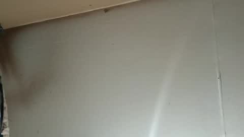 longone2600 online show from January 11, 4:39 am