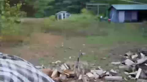 longtimerambler online show from October 11, 9:02 pm