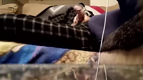 looking4bush online show from March 18, 1:09 am