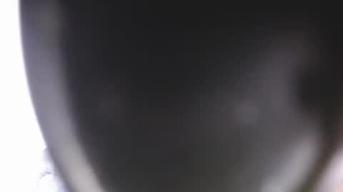 lorexxw online show from July 9, 12:15 am