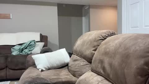 lex online show from October 23, 6:17 pm