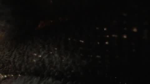 Snapshot of louis_bcasta1 chatting on January 22, 11:01 am OF louis bcasta1 online show from January 22, 11:01 am