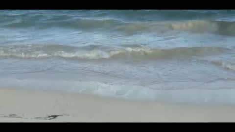 Louis online show from November 5, 9:04 pm