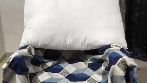 Snapshot of love_riva chatting on March 27, 10:37 am Riva online show from March 27, 10:37 am