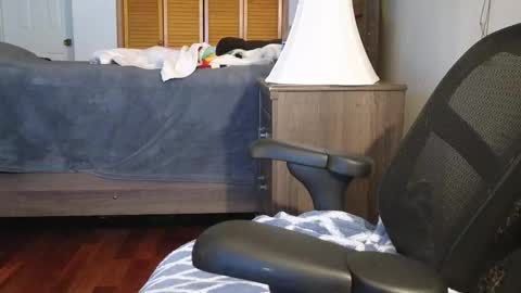 Amber online show from November 3, 3:19 am