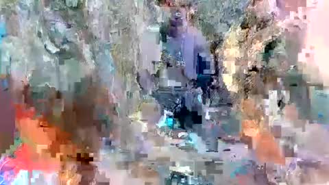 alexa alice jane daisy online show from March 8, 2:19 pm