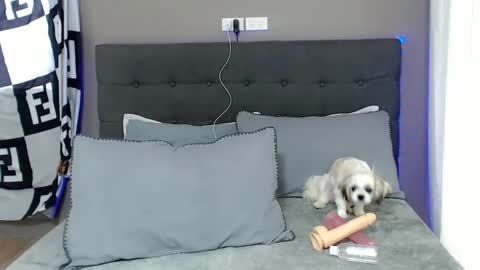 Snapshot of lovely_jastine chatting on December 2, 1:58 am Jastine online show from December 2, 1:58 am