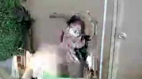 Snapshot of lovely_kimmyxx chatting on July 13, 7:33 am kimmy online show from July 13, 7:33 am