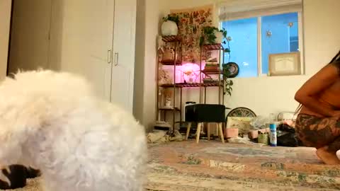 Snapshot of lovelyxmacii chatting on May 8, 2:39 am lovelyxmacii online show from May 8, 2:39 am