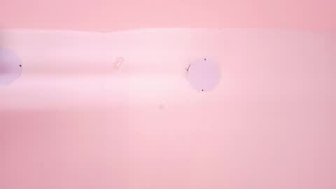 L O V E  online show from March 12, 11:38 am