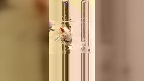 Snapshot of loverboi14209 chatting on February 23, 5:16 am loverboi14209 online show from February 23, 5:16 am