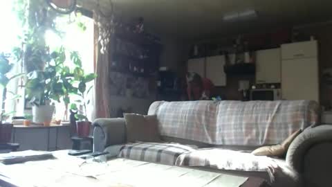 aaron online show from October 18, 10:27 am