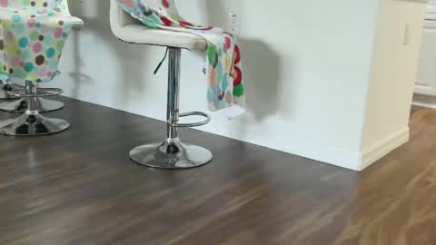 lovingcouple1969 online show from December 14, 1:05 pm